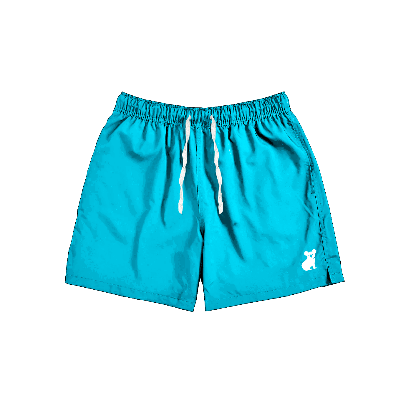 Nylon Shorts