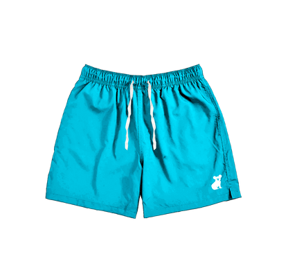 Nylon Shorts