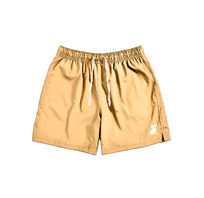 Nylon Shorts
